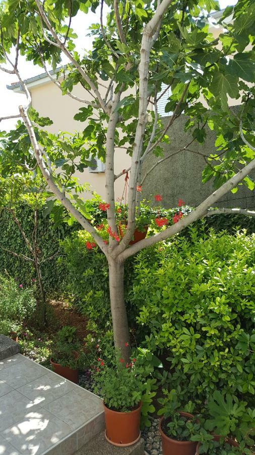 Guest House Dijana Krk Town Bagian luar foto